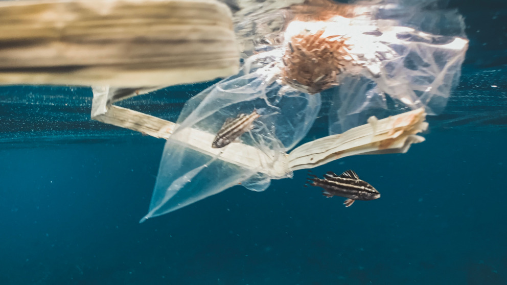 Ozean Plastikmüll