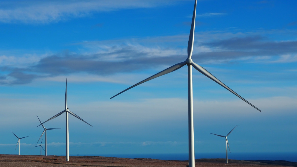 A wind farm in the Far North