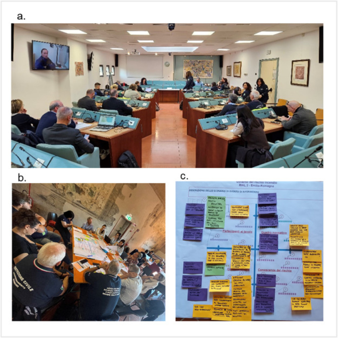 DIRECTED Workshop held with stakeholders and affected groups